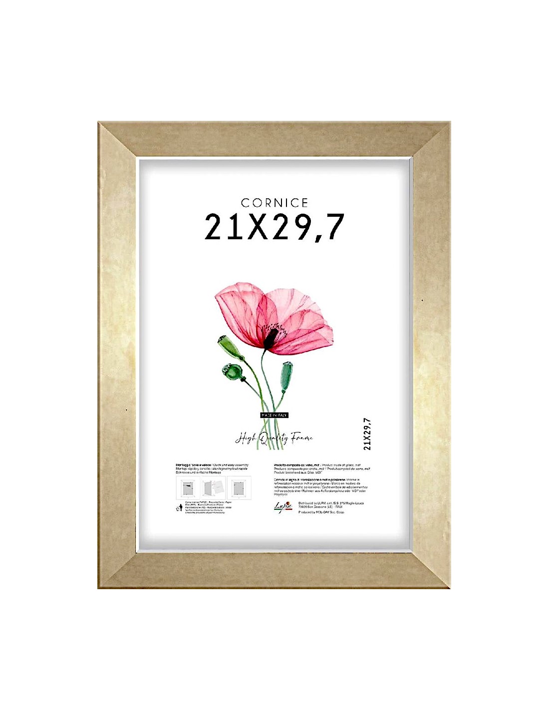 CORNICE QUADRA 21X29,7 ORO