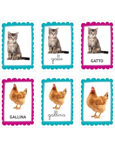 PRESCOLARI: vendita online CLEMENTONI SAPIENTINO PRIME PAROLE FLASHCARDS in offerta