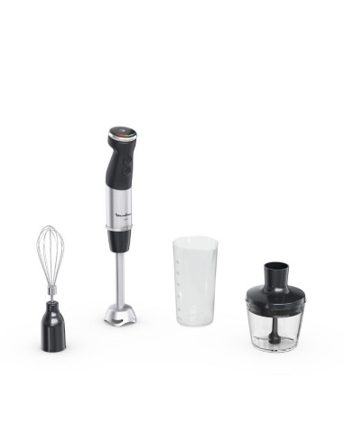 Moulinex Frullatore a Immersione 1000 W con Accessori – shopincasa.it