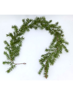 SFERE E PENDAGLI: vendita online Filo verde di Natale 180cm green ivory - La magia di Natale a casa tua in offerta