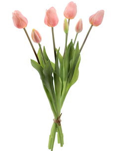 MAZZO 2752-12 TULIPANI ROSA