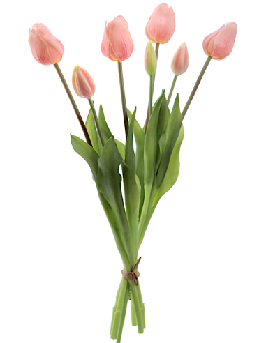 MAZZO 2752-12 TULIPANI ROSA