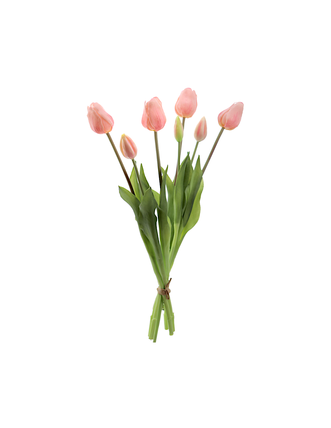 MAZZO 2752-12 TULIPANI ROSA