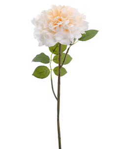 FIORE 1438-31 ROSA GRANDIFLORA BIANCA