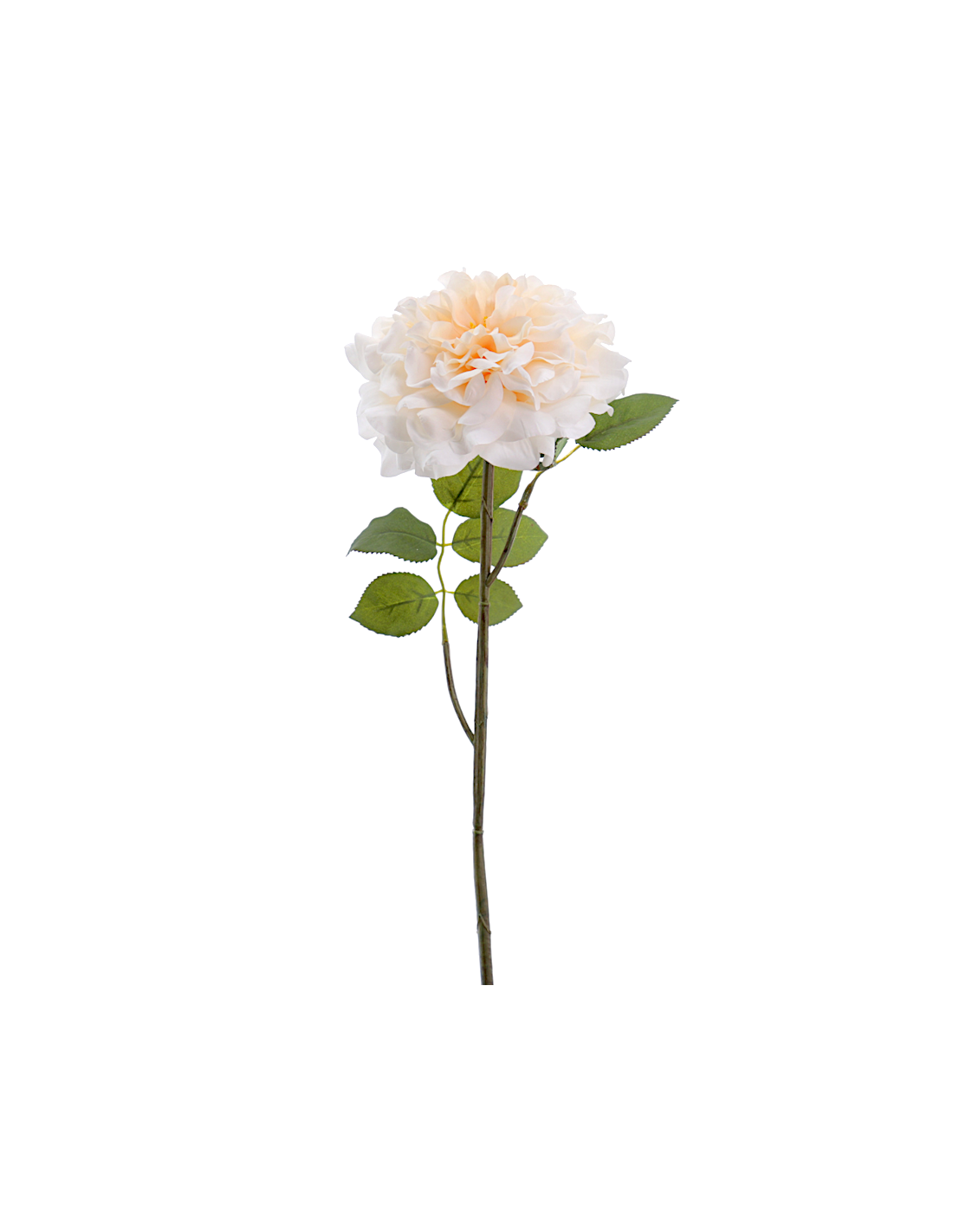 FIORE 1438-31 ROSA GRANDIFLORA BIANCA
