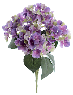 STELO 3304-16 ORTENSIA VIOLA