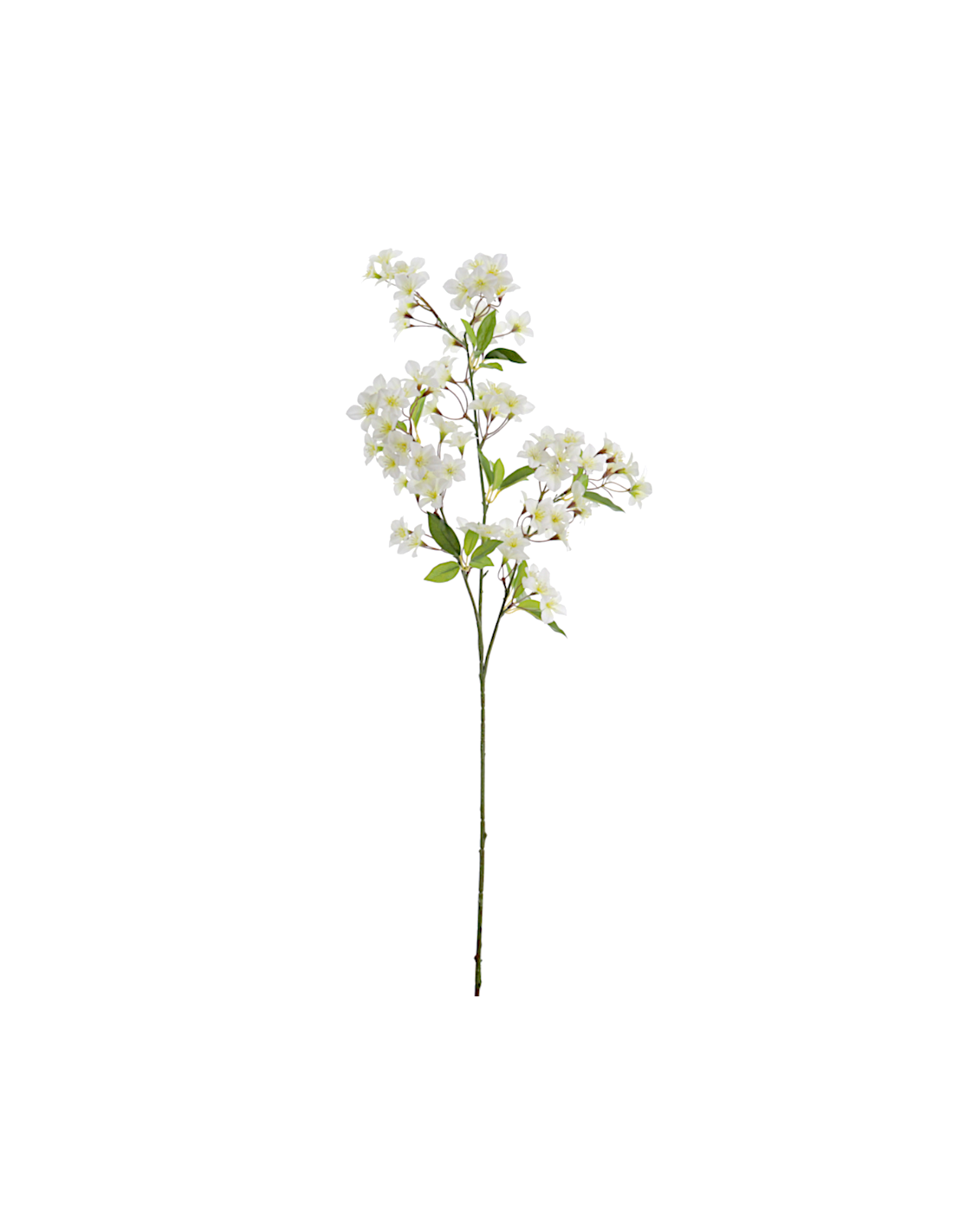 STELO 4780-01 FIORI MANZANO BIANCHI