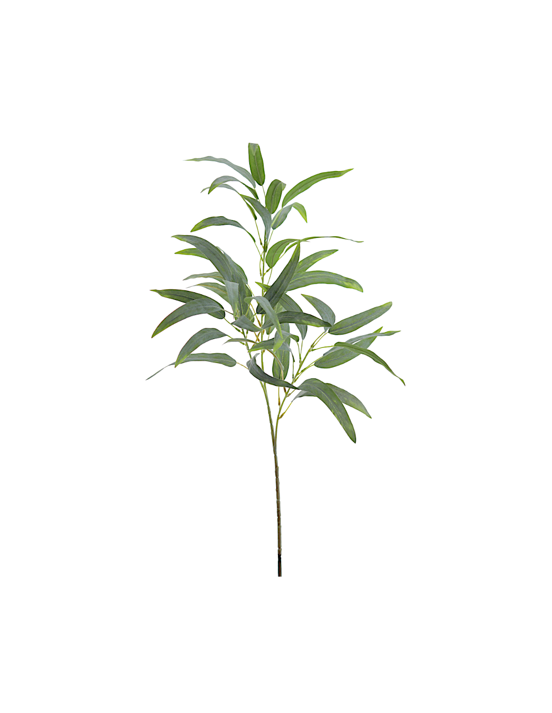 RAMO 2636-09 FOGLIE EUCALIPTO VERDI