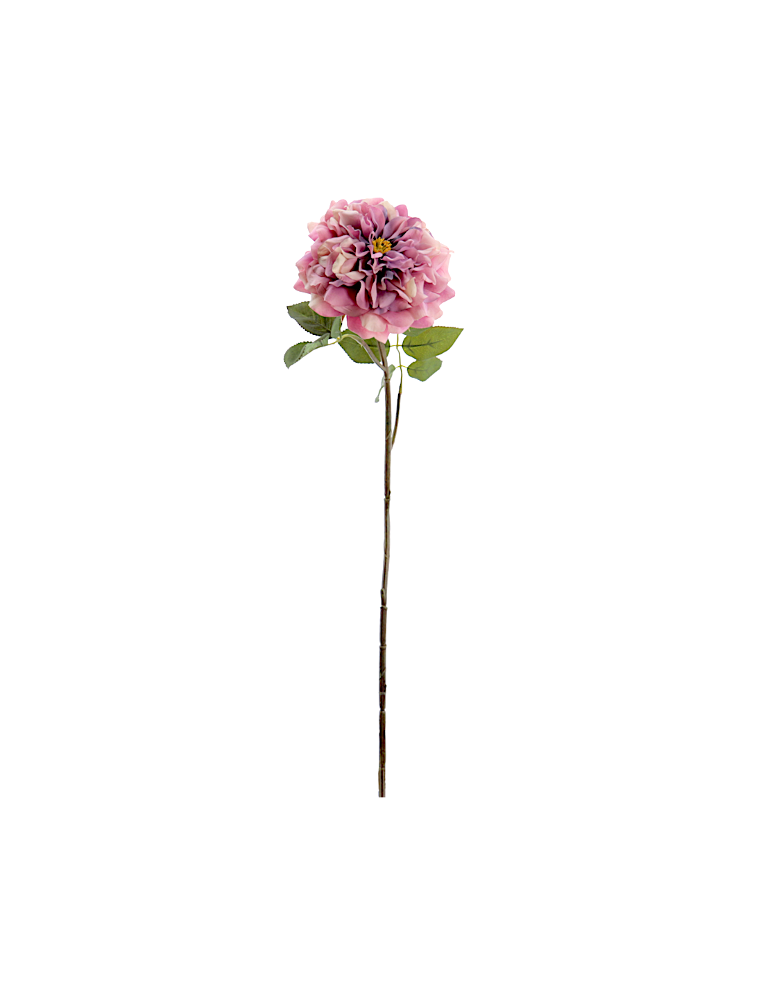 FIORE 1438-07 ROSA GRANDIFLORA FUCSIA