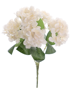 STELO 3304-31 HYDRANGEA BEIGE