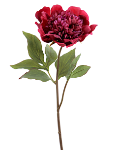 FIORE 1423-17 PEONIA BORDEAUX
