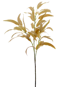 RAMO 2636-34 FOGLIE EUCALIPTO MARRONI