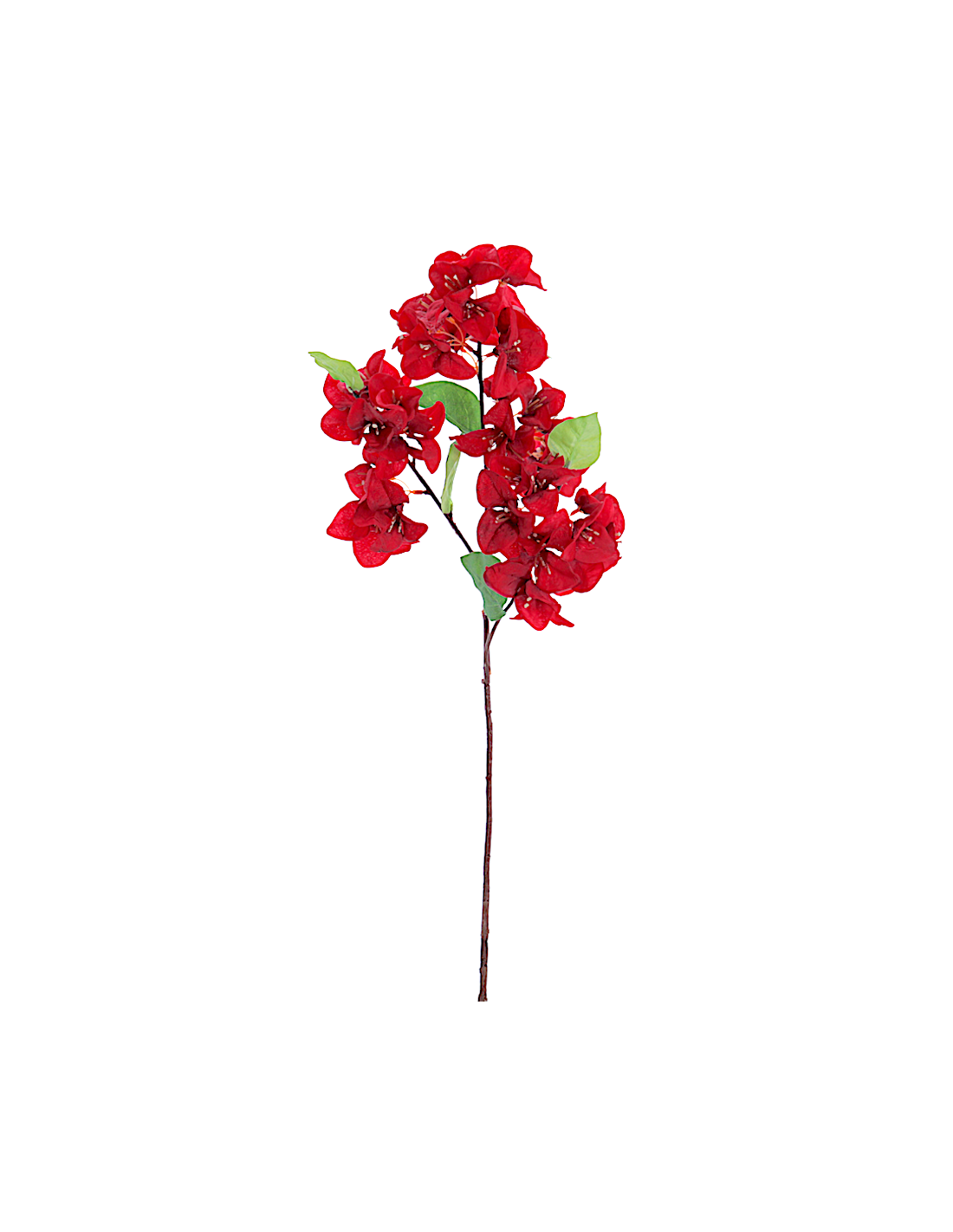 STELO 6253-08 BOUGANVILLEA ROSSA