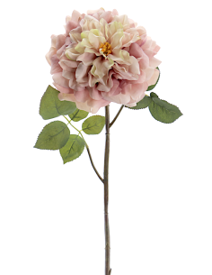 FIORE 1438-51 ROSA GRANDIFLORA ROSATA