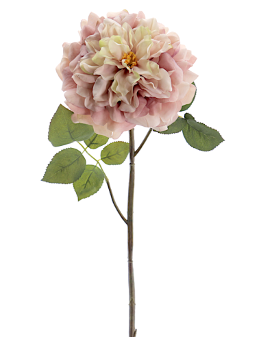 FIORE 1438-51 ROSA GRANDIFLORA ROSATA