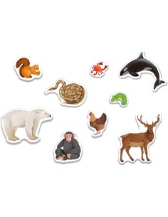 PRESCOLARI: vendita online SAPIENTINO MONTESSORI, GLI ANIMALI, CLEMENTONI, GIOCO EDUCATIVO, 3-5 ANNI in offerta 2