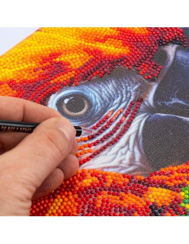 PRESCOLARI: vendita online Diamantiny Quadro Animals Ara – Kit Crystal Art con Gemme 3D, Assortito in offerta