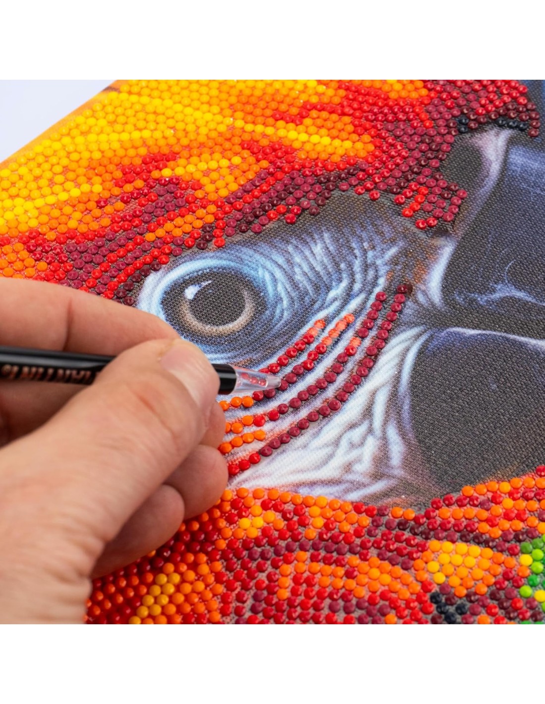 PRESCOLARI: vendita online Diamantiny Quadro Animals Ara – Kit Crystal Art con Gemme 3D, Assortito in offerta