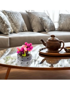 Nice Mattoncini Exotic Plants – Piante Esotiche Assortite | shopincasa.it 2