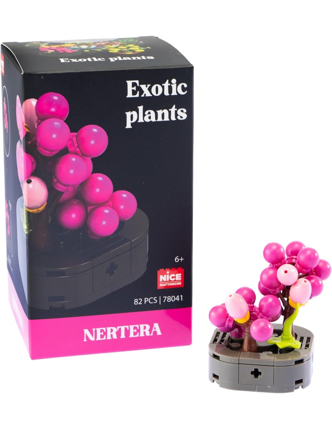Nice Mattoncini Exotic Plants – Piante Esotiche Assortite | shopincasa.it