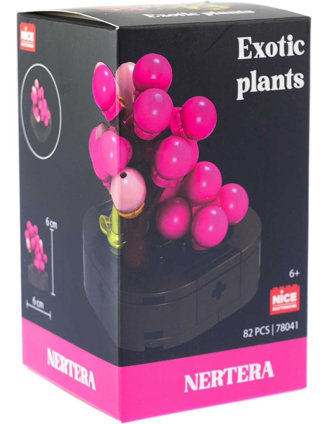 Nice Mattoncini Exotic Plants – Piante Esotiche Assortite | shopincasa.it