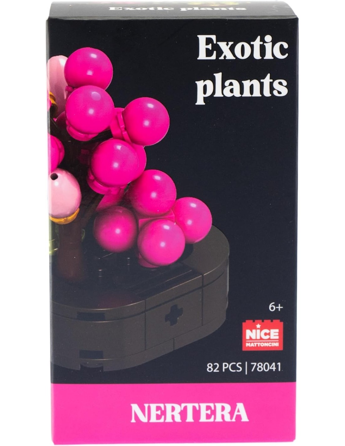Nice Mattoncini Exotic Plants – Piante Esotiche Assortite | shopincasa.it