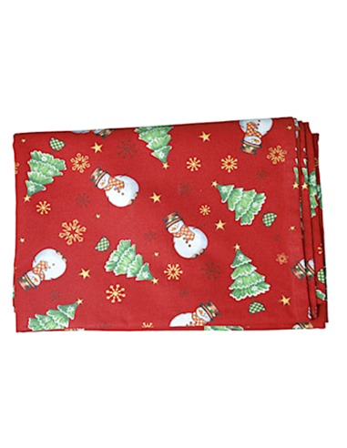 TOVAGLIA 160X300 FROSTY RACCONTI BRANDANI 10332