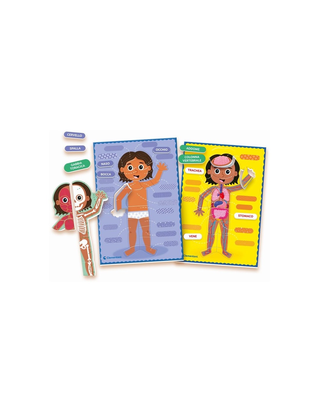 PRESCOLARI: vendita online MONTESSORI 16876 IL CORPO UMANO in offerta