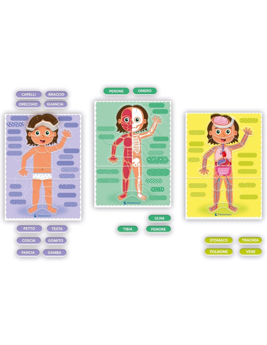 PRESCOLARI: vendita online MONTESSORI 16876 IL CORPO UMANO in offerta