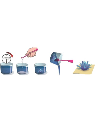 GIOCHI GIRL: vendita online CLEMENTONI, SCIENZA E GIOCO LAB, GIOIELLI DI CRISTALLO, KIT SCIENTIFICO in offerta