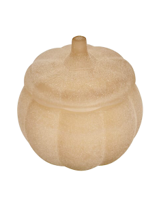 CANDELA PROFUMATA 211722 ZUCCA 100GR VETRO