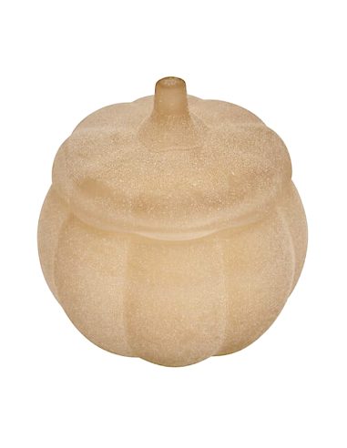 CANDELA PROFUMATA 211722 ZUCCA 100GR VETRO