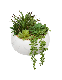 PIANTA GRASSA 210115 JESTY 21X18CM VASO CERAMICA