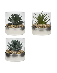 PIANTINA 210248 SKY ASSORTITO 8X8CM VASO PLASTICA/VETRO