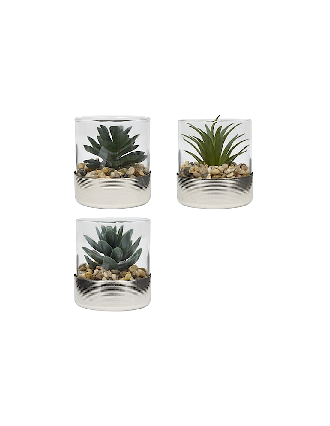 PIANTINA 210248 SKY ASSORTITO 8X8CM VASO PLASTICA/VETRO