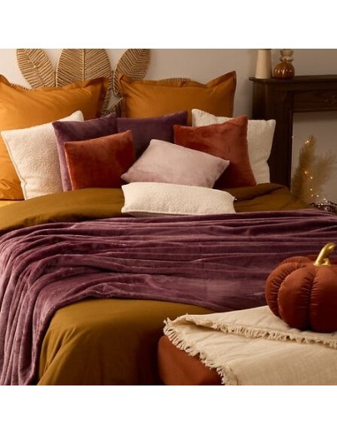 LENZUOLA E ACCESSORI: vendita online Coperta Ollis tinta unita, flanella malva, 180 x 230 cm, morbida e calda in offerta
