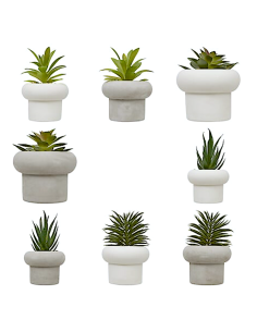 PIANTA GRASSA 210231 STEFI ASSORTITO 15CM VASO CEMENTO