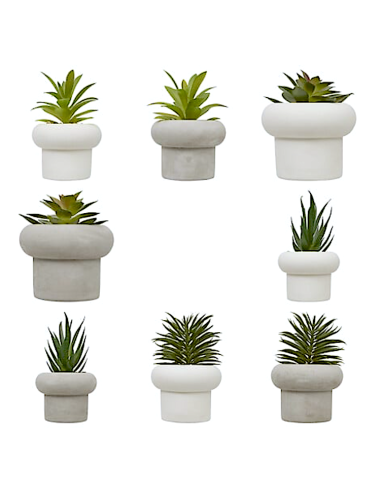 PIANTA GRASSA 210231 STEFI ASSORTITO 15CM VASO CEMENTO