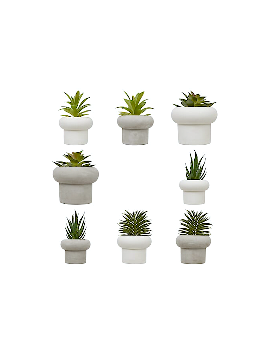 PIANTA GRASSA 210231 STEFI ASSORTITO 15CM VASO CEMENTO