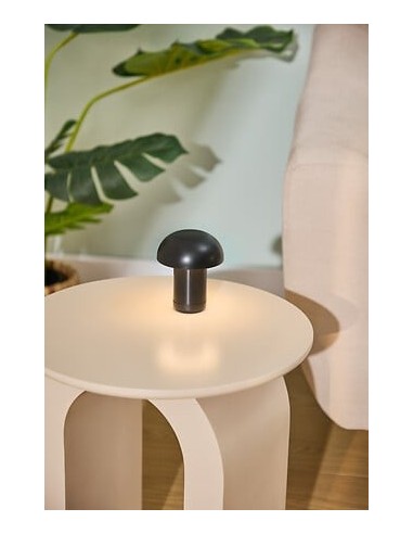 ILLUMINAZIONE: vendita online Lampada LED a fungo Lidi, H 11 cm, colori assortiti, luce decorativa a pile in offerta