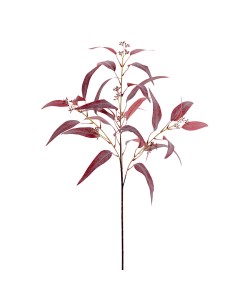 RAMO 6269-17 FOGLIE EUCALIPTO BORDEAUX