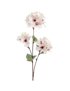 FIORE 4693-71 GIGLIO PERUVIANO BIANCO