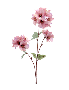 FIORE 4693-06 GIGLIO PERUVIANO MALVA