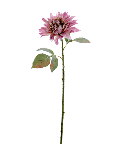 FIORE 6285-06 DAHLIA MALVA