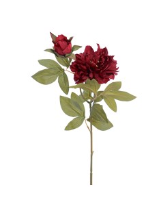 FIORE 2511-38 PEONIA ROSSA CON BOCCIOLO