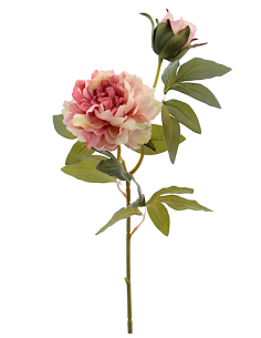 FIORE 2511-12 PEONIA ROSA CON BOCCIOLO