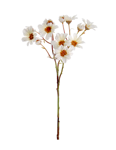 STELO 1105-01 MARGHERITE BIANCHE