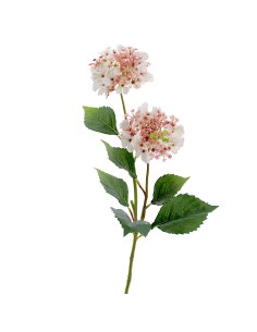 STELO 4766-31 ORTENSIE BIANCHE