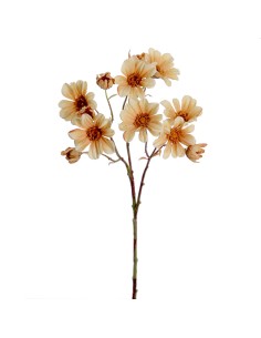 STELO 1105-31 MARGHERITE BEIGE