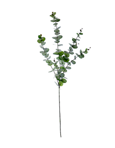 STELO 1209-09 EUCALIPTO FOGLIE VERDI